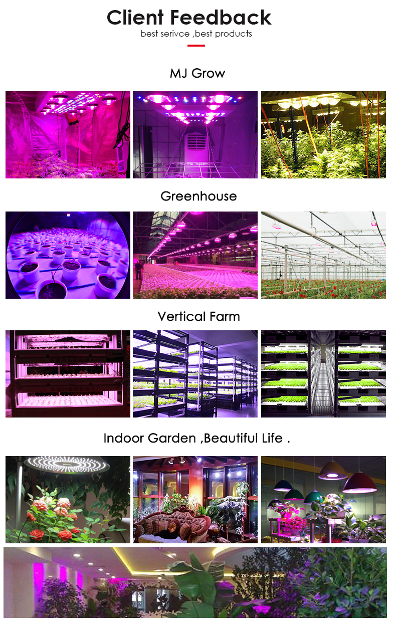 Application Range of LED Grow Lights