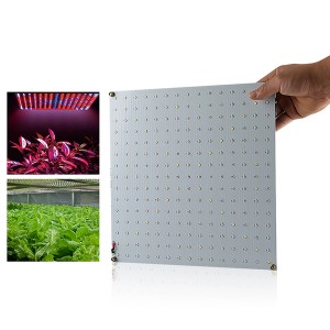 IOS Certificate Koray Vertical Farming Hydroponic Led Grow Light Lm301b Quantum Board Led Bar For Indoor Garden