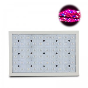 Quoted price for Sunrise Sunset Adjustable Spectrum Flat Panel Led Grow Light For Greenhouse