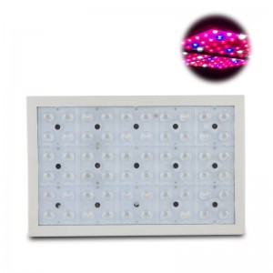 Low MOQ for Best Sellers Apollo Series Led Grow Light