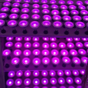 Cheapest Price New Cob Grow Tent Complete Kit With Led Light Test Real 100w