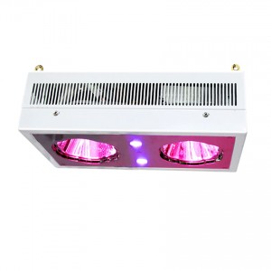 Cheapest Factory 1000w Double Chips Cob Led Grow Light For Basement Vegfruit Plant