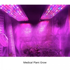 GAEA  144X5W LED Grow Light