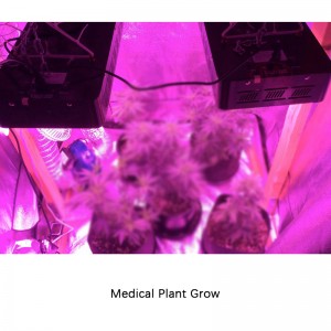 100% Original Hydroponic Fodder Growing Systems Full Spectrum Led Grow Light