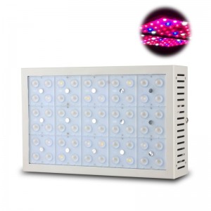 Factory directly Full Spectrum 600w Dimmable Iruv Cob Double Switch Greenhouse Hydroponic Led Grow Light