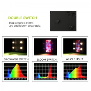 โนอาห์ 4 พลัสแสงไฟ LED เติบโต