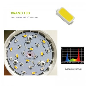 12W LED coltivano funghi