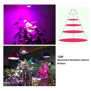 12W LED élèvent la lumière Par