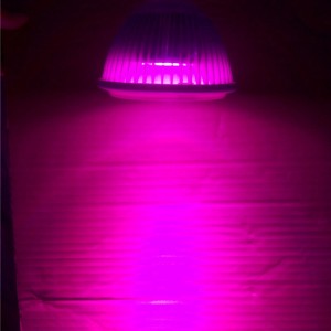 18W COB LED Grow Par Light