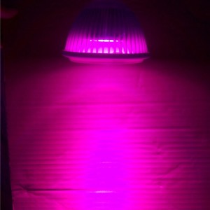 Renewable Design for Full Spectrum Cob Led Grow Light