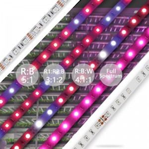 Factory Customized Greenhouse Full Spectrum Led Grow Light For Plant