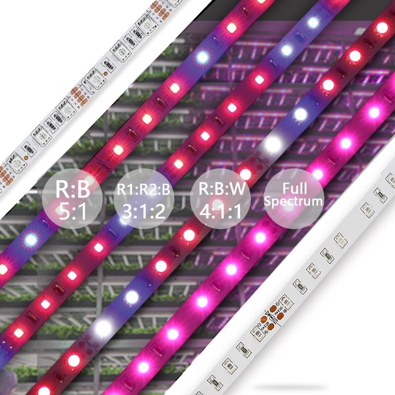 Reasonable price for Popular Style Led Plant Grow Light - UL LED Grow Light Strip – MINGXUE Optoelectronics detail pictures