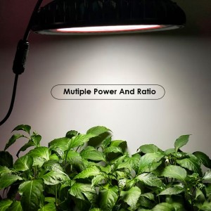 High Quality for Direct Led Grow Light Indoor Garden Plants Hydroponics Lamp