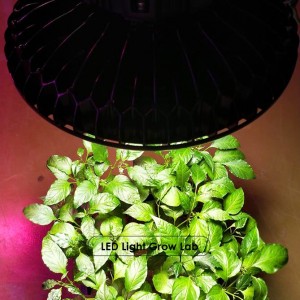 Short Lead Time for Led Grow Light Bar,Aluminum Housing Led Grow Lights 36w With Passive Cooling