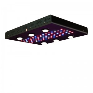 Nuh 6 Plus LED Grow