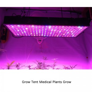 GAEA 240PCS/5W LED Grow Light
