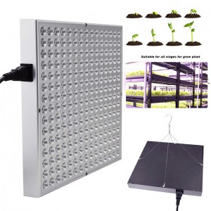 Low MOQ for Ppfd Par Value Adjustable Switches Full Spectrum For Plant Crees Cob 600w Led Grow Light