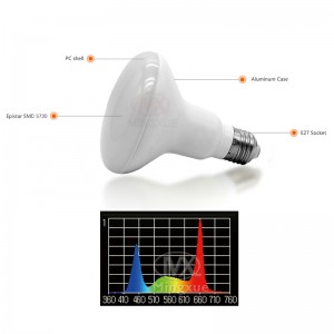 Factory made hot-sale Durable 90 Degree Full Spectrum Led Grow Lights