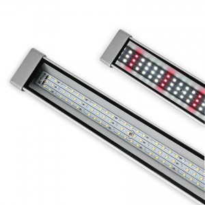 IP65 50W LED R światło bar