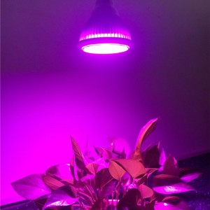 18W COB LED Grow φως Par