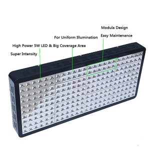 Wholesale Price China Customized Spectrum Medicine Plant 2000w Cob Led Grow Light