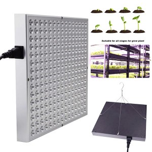 Competitive Price for Ac85-285v Indoor Vegetable Plant 6x Cob 1800w Growing Led Light For Plant Growth