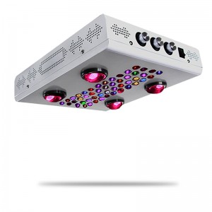 China OEM Indoor Full Spectrum Led Grow Light