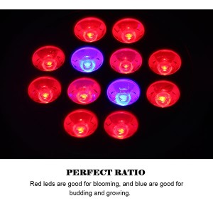 Ordinary Discount 2018 Plant Cob Led Grow Light With For Indoor Plants Seedling Growing Algae No Fan T8 Blue/red Tube