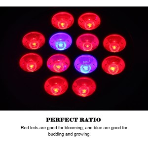 12W LED Grow Light Par