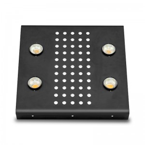 Noah 4 Plus LED Grow Light