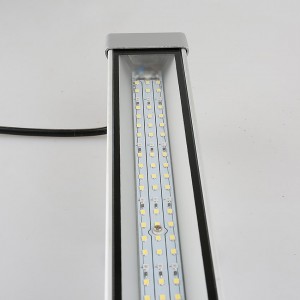 High Quality Power Integrated Cob Led Grow Light 100w Full Spectrum