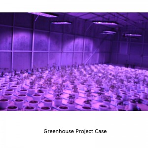 GAEA 240PCS/5W LED Grow Light