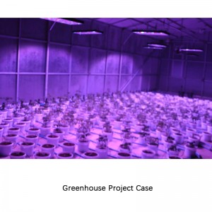 Discount Price Led Grow Light For Hydroponic Gardening,Grow Standing Light For Home,Grow Floor Light For Bonsai