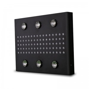 Noah 6 Plus LED Grow nhẹ