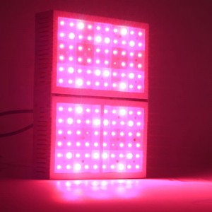 X300S LED berkembang cahaya