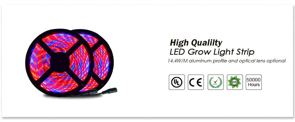 Mingxue-LED-grow-lumière manufacturer_66