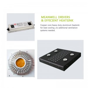 High definition Meanwell Driver Ip65 Led Grow Light 100w 200w Agricultural Products Line Led Plant Growth Light