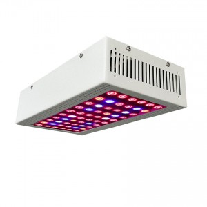 Renewable Design for Indoor Led Grow Light 300w 12 Band Full Spectrum,Dual Veg And Bloom Switches,Plant Light Grow