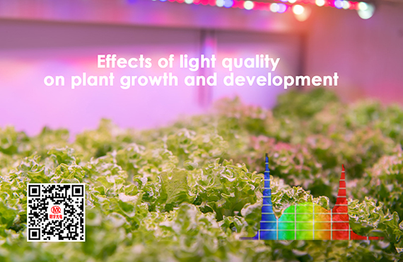 Effects of light quality on plant growth and development