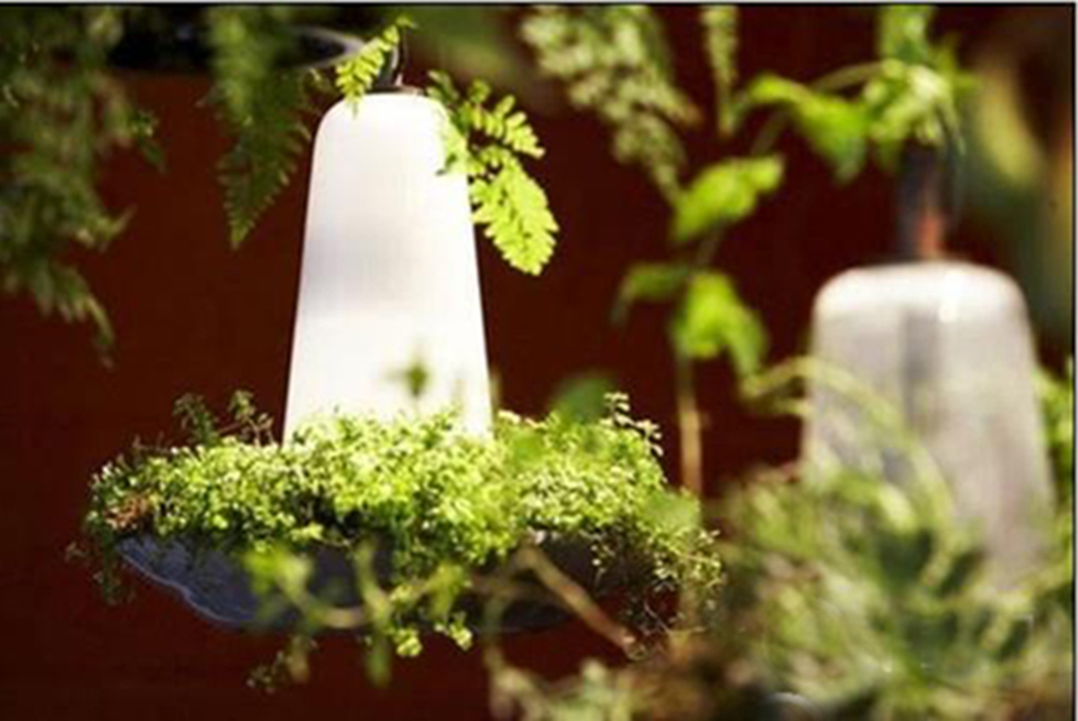 A fascinating LED solar light chandelier that can grow flowers and plants